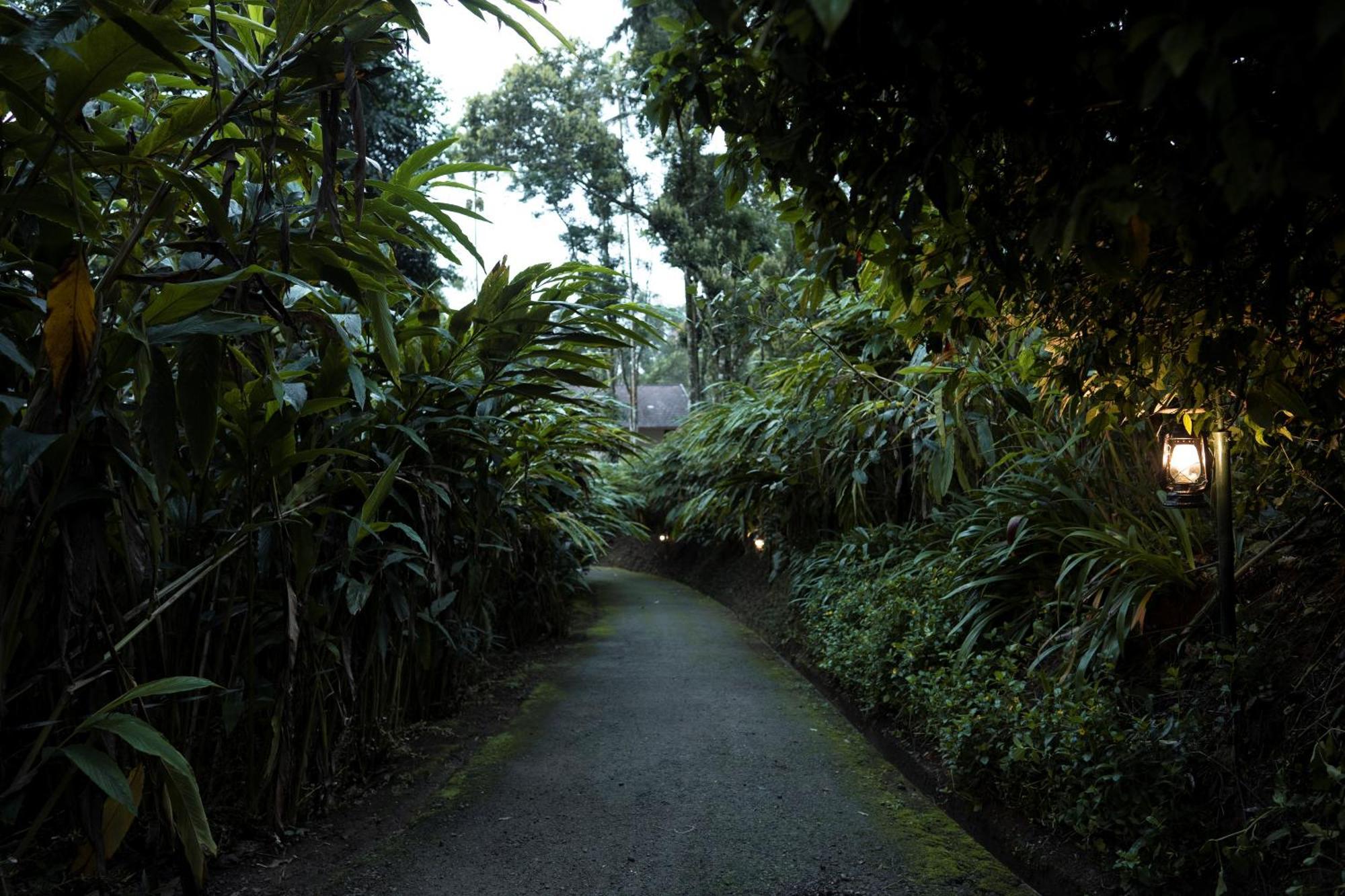 Carmelia Haven Resort Thekkady Zewnętrze zdjęcie