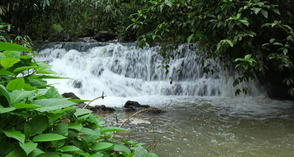 Carmelia Haven Resort Thekkady Zewnętrze zdjęcie
