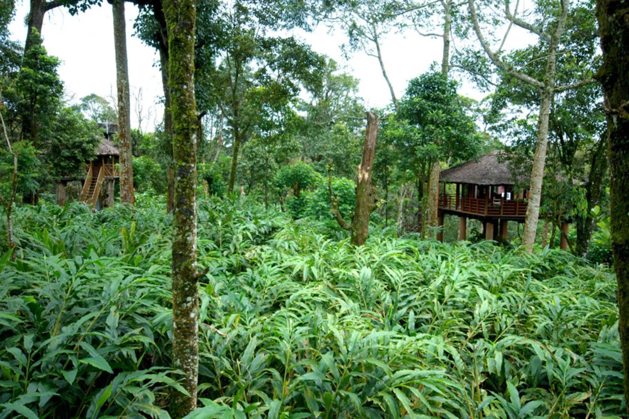 Carmelia Haven Resort Thekkady Zewnętrze zdjęcie