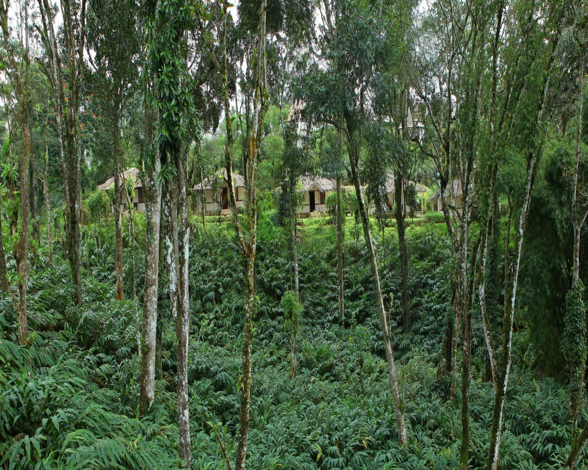 Carmelia Haven Resort Thekkady Zewnętrze zdjęcie